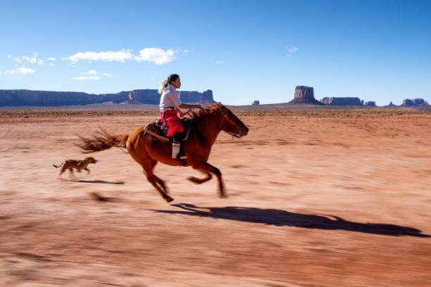 ein junger navajo reite ihr pferd schnell als die hunde jagen nach ihr - monument valley navajo mesa monument valley tribal park stock-fotos und bilder