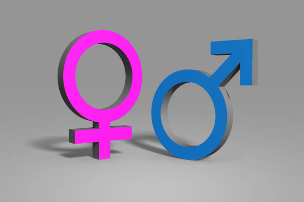 istock Female & Male Icon over a grey background 1216049065