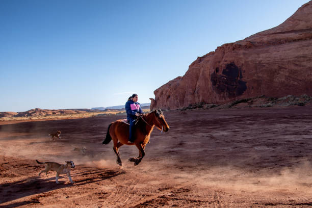 ein junger navajo reite ihr pferd schnell als die hunde jagen nach ihr - monument valley navajo mesa monument valley tribal park stock-fotos und bilder