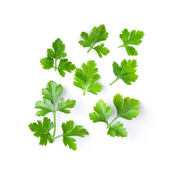 istock fresh parsley herb isolated on white background 1216052860