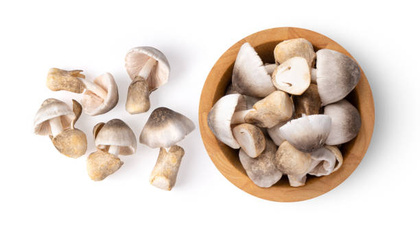 istock straw mushroom in wood bowl isolated on white background 1216053877