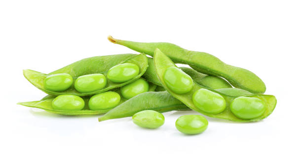 istock green soy beans isolated on white background 1216054012