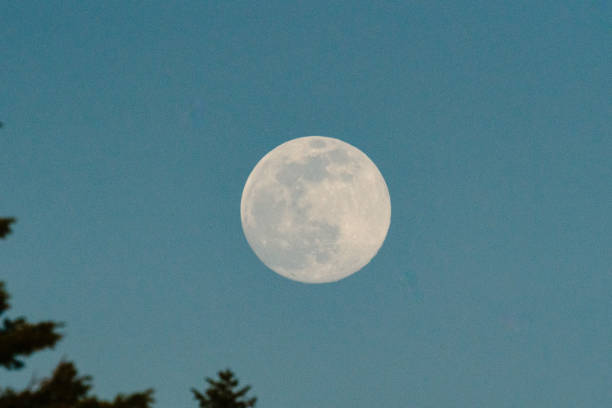 istock A full worm moon rises across a blue sky at twilight 1216054901