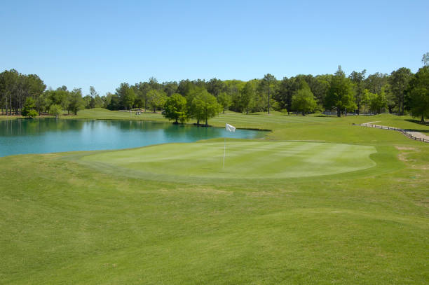 Water Hazard on the Golf Course Water Hazard on the Golf Course in Gulf Shores, AL, United States country club stock pictures, royalty-free photos & images