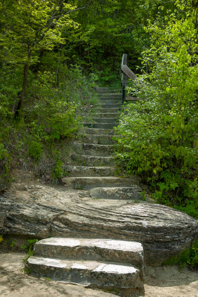 istock Rugged Rock Trail Steps in the Woods 1216054973