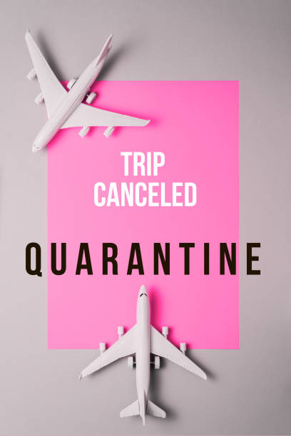 istock Pink suitcase and airplane model, minimal creative travel concept. 1216055204