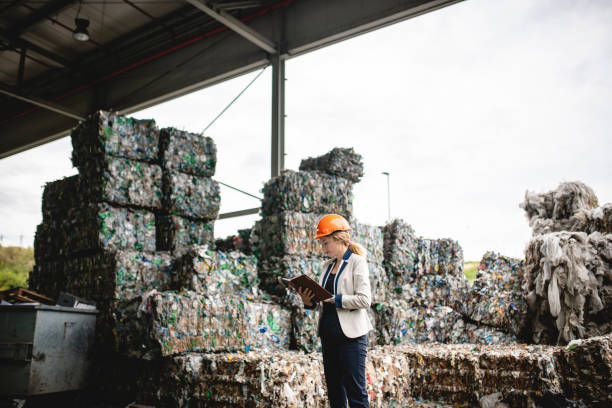 istock Female Environmental Consultant Performing Onsite Inspection 1216056221