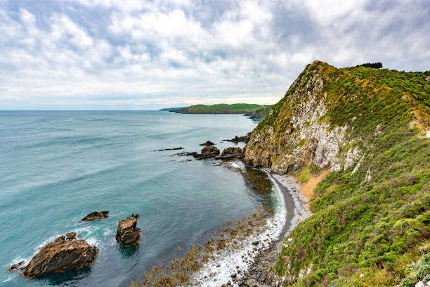 istock Nugget Point Lighthouse, Catlins, New Zealand 1216056905