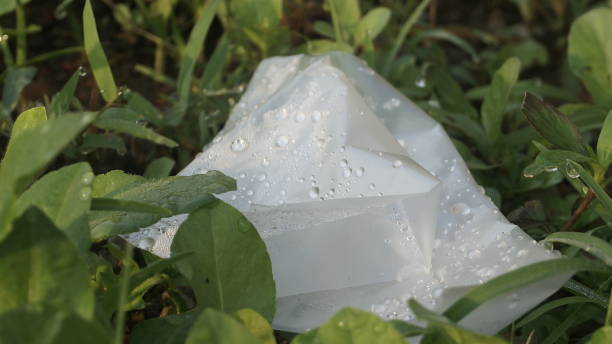 istock Plastic bag waste in the nature 1216056969