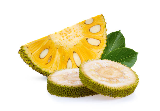 istock jack fruits slice on white background 1216057711
