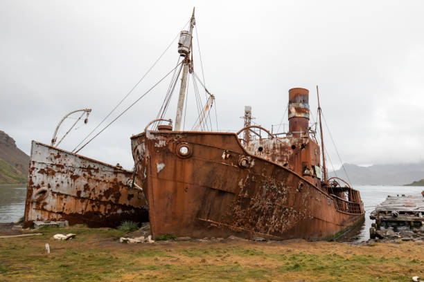 istock Whaling boats 1216060987
