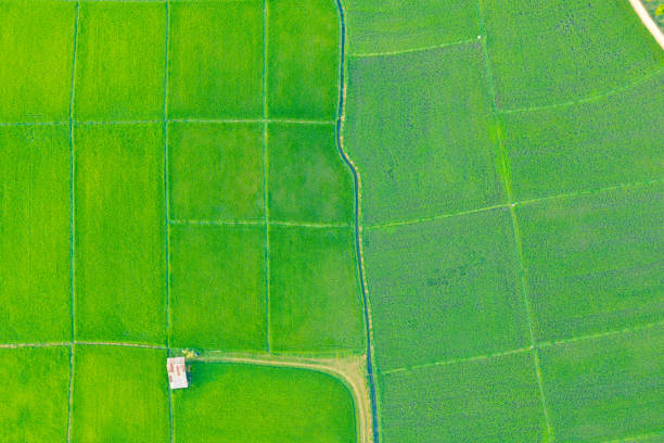 istock aerial view agricultural field 1216062193