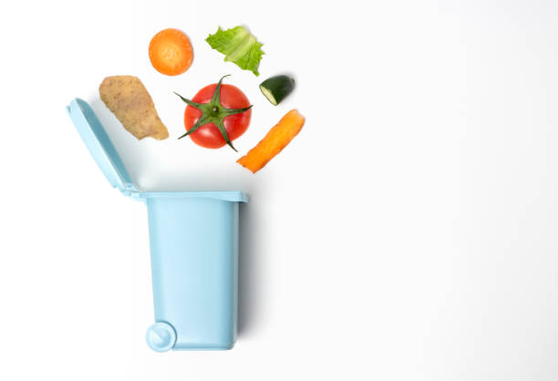 istock Organic waste and trash can on a white background close up, copy space 1216063084