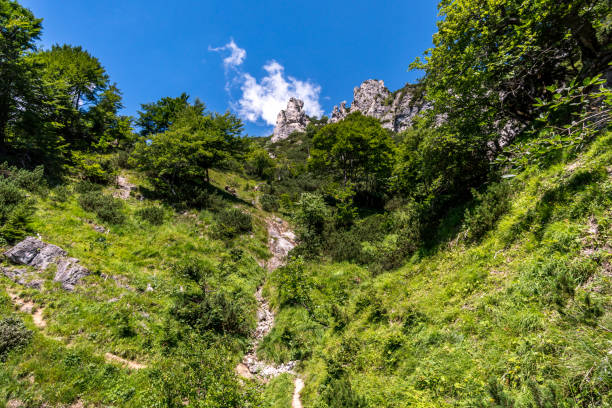 istock Fantastic hike in the Berchtesgaden Alps 1216063361
