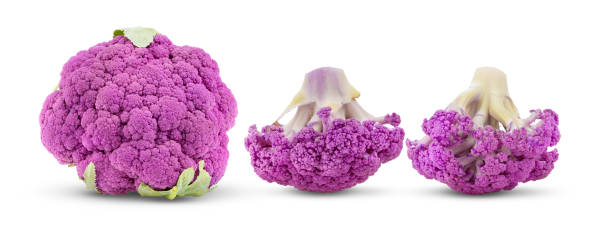 chou-fleur violet sur le blanc - purple cauliflower photos et images de collection