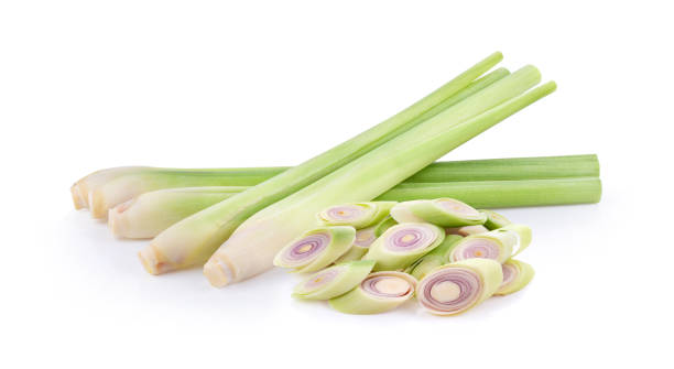 istock Lemongrass on a white background. full depth of field 1216066309