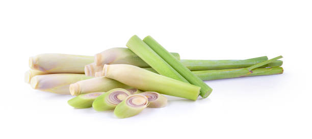 istock Lemongrass on a white background 1216066355