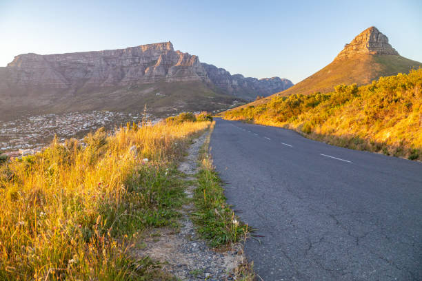 istock South Africa's Table Mountain and Lion's Head at Sunrise 1216067105