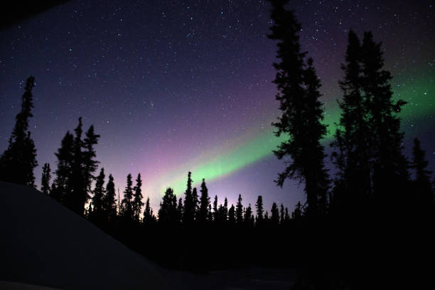 Aurora Borealis from Salcha, Alaska Living in a rural region of Alaska the light seen is only from stars, moon, and the Northern Lights - Photos from Jan - Mar. aurora borealis orange stock pictures, royalty-free photos & images