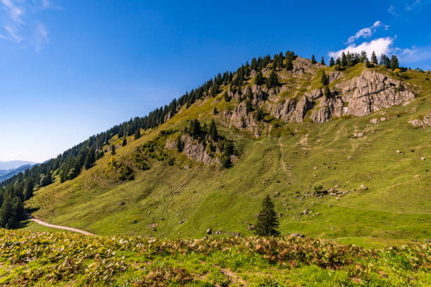 istock Fantastic hike at Balderschwang 1216073820