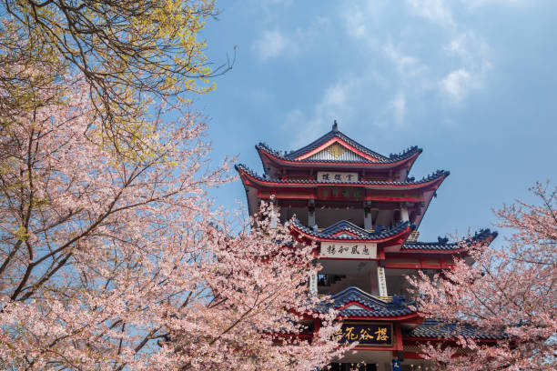 istock Spring in Wuxi Park, Jiangsu Province, China 1216074822