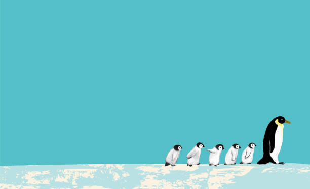 March of a penguin family A cute penguins family walking in a cold field. animal family stock illustrations