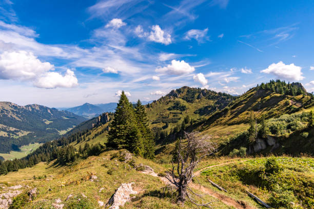 istock Fantastic hike at Balderschwang 1216079009