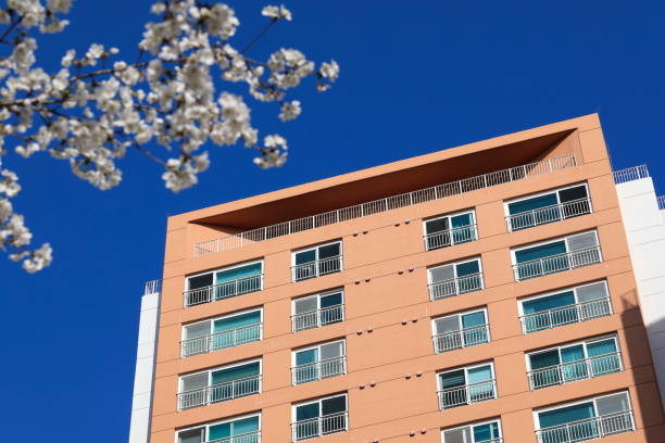 istock cherry blossoms and apartments 1216079854