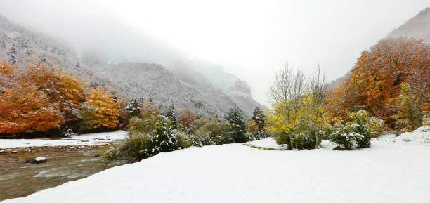 istock Winter landscape with river and snow horizontal banner 1216080992