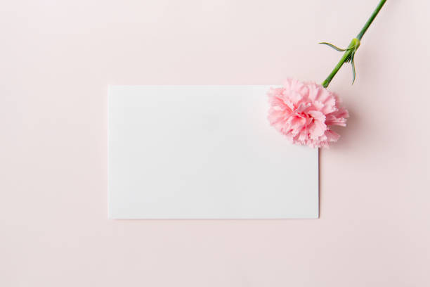istock Carnation and greeting card 1216082898