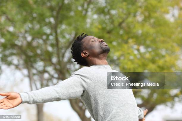 Schwarzer Mann Atmet Frische Luft Die Arme In Einem Park Ausstreckt Stockfoto und mehr Bilder von Männer