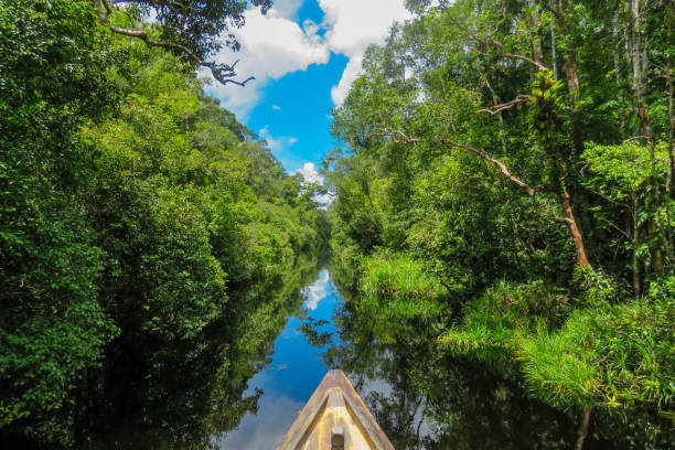 istock Tranquil, no peoples there 1216087081