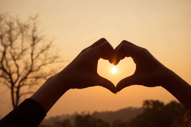 istock Hands make in heart form love with silhouette at sun set background 1216087126