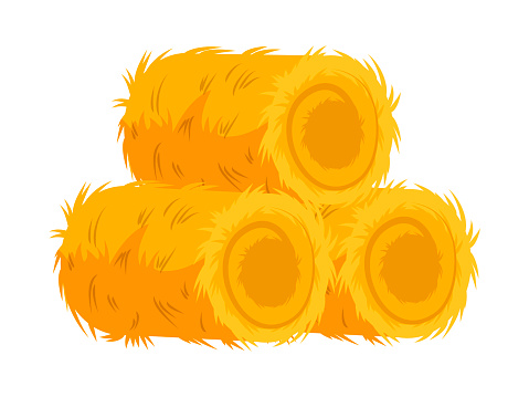 Farming dry hay bale haycock isolated on white. Agricultural rural yellow straw haystack. Farm agriculture. Farm eco natural cartoon element for livestock animal. Vector flat illustration