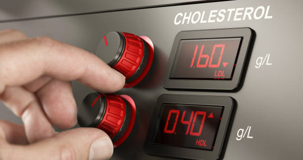 Increase HDL cholesterol level and Decrease LDL. Conceptual dashboard with levels of hdl and ldl cholesterol with fingers turning a button to increase High Density Lipoprotein ratio. Composite image between a hand photography and a 3D background. good vs bad cholesterol stock pictures, royalty-free photos & images