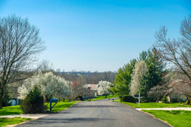 Street in a Midwestern suburb with blooming white Bradford pears in the spring; Missouri, Midwest