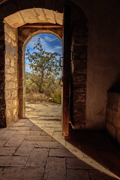 istock the door with a landscape with a tree 1216096533