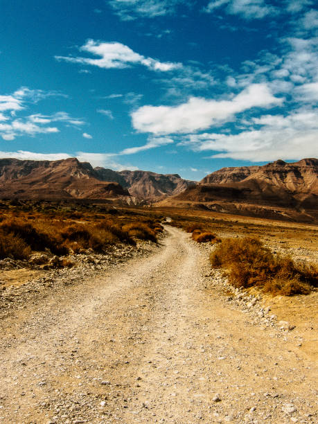 istock Colors of Israel 1216096719