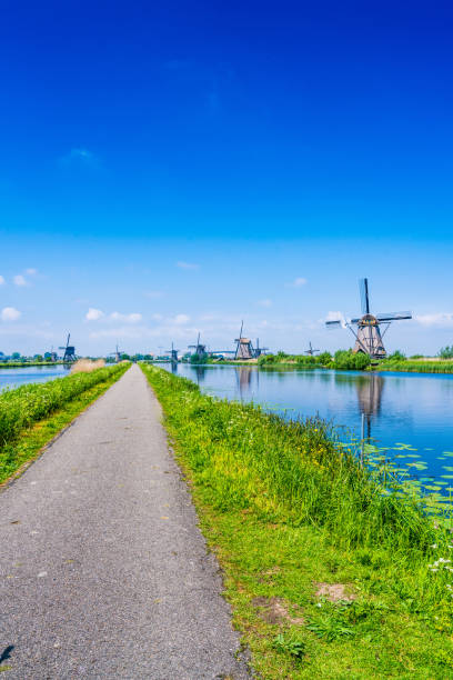 istock Traditional Dutch windmills on a sunny day 1216102875