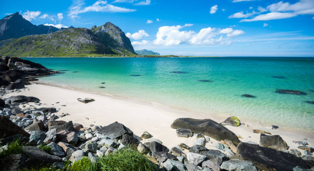 istock Beautiful Lofoten Islands in Summer, Norway 1216105419