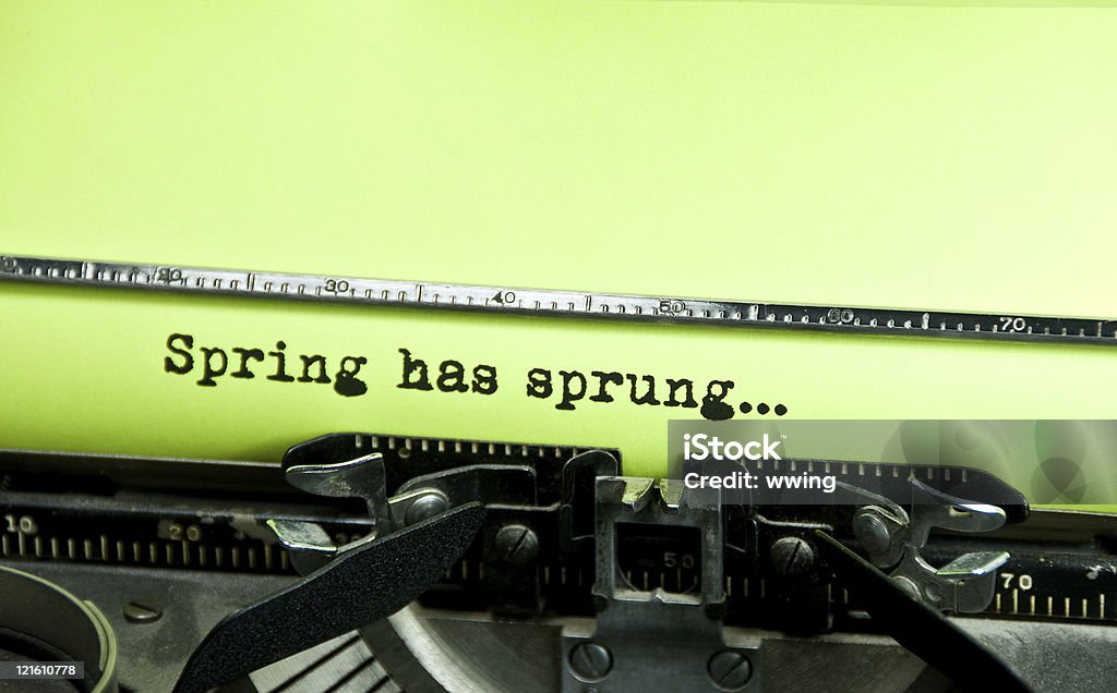 A primavera já levantadas. - Foto de stock de Primavera - Estação do ano royalty-free