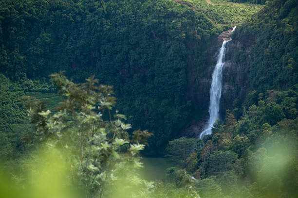 istock Beautiful Waterfalls in Maskeliya, Sri Lanka 1216108430