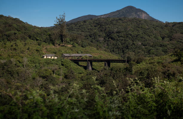 istock Famous railroad in Ella, Sri Lanka 1216108493