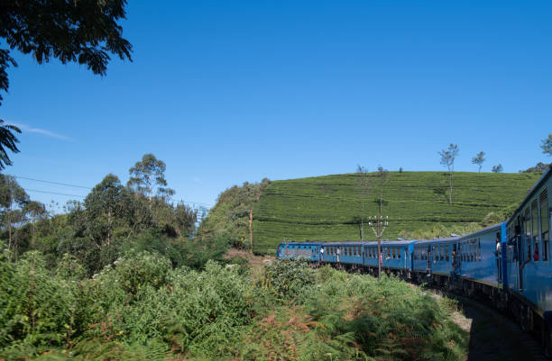 istock Famous blue train in Ella, Sri Lanka 1216108495