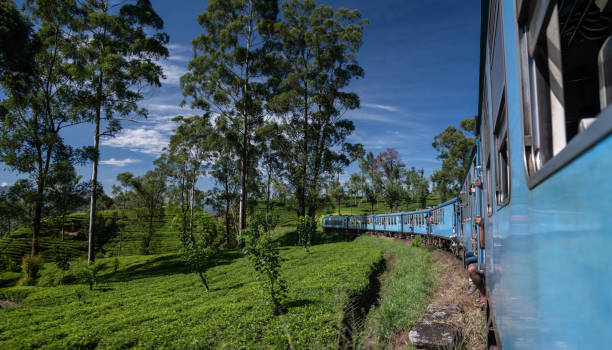 istock Famous blue train in Ella, Sri Lanka 1216108508