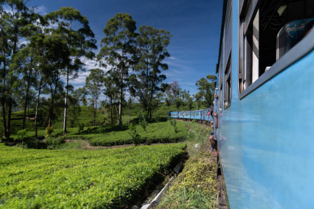 istock Famous blue train in Ella, Sri Lanka 1216108509