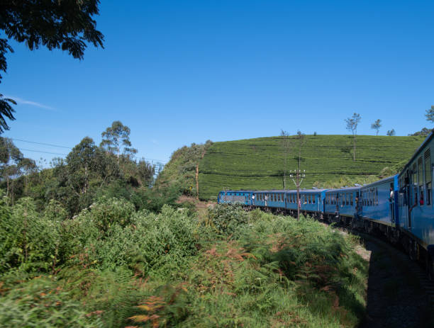 istock Famous blue train in Ella, Sri Lanka 1216108514
