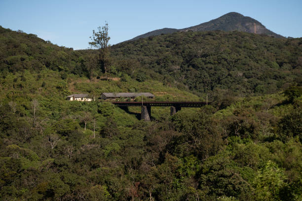istock Famous railroad in Ella, Sri Lanka 1216108516
