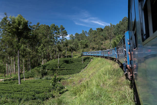 istock Famous blue train in Ella, Sri Lanka 1216108526