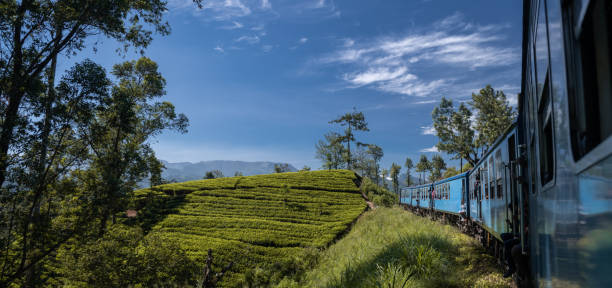 istock Famous blue train in Ella, Sri Lanka 1216108528